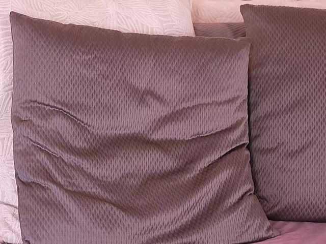 IvyEllis's BongaCams show and profile