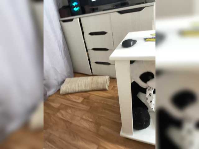 chikibriki2 from BongaCams is Freechat