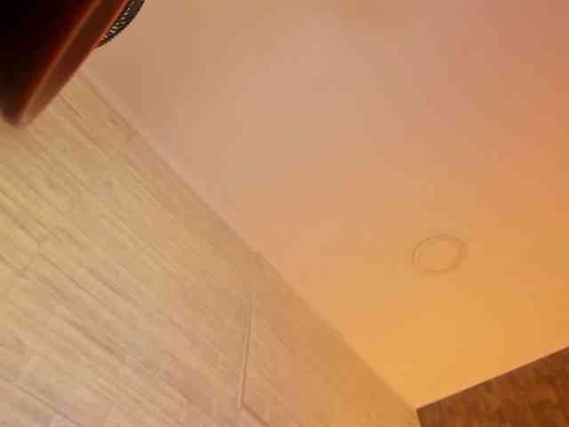 AliceTylor Live Webcam on BongaCams
