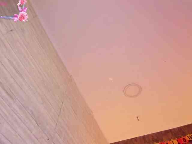 AliceTylor AliceTylor