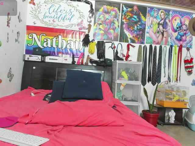 nathan061181 Live Webcam on BongaCams