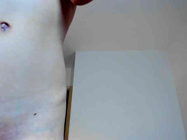 MiaMeowa webcam