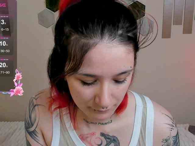 Dreamy-Snake webcam