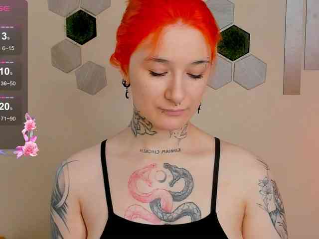 Dreamy-Snake webcam