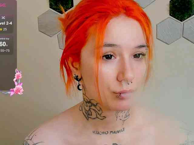 Dreamy-Snake webcam
