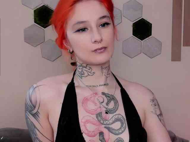 Dreamy-Snake webcam