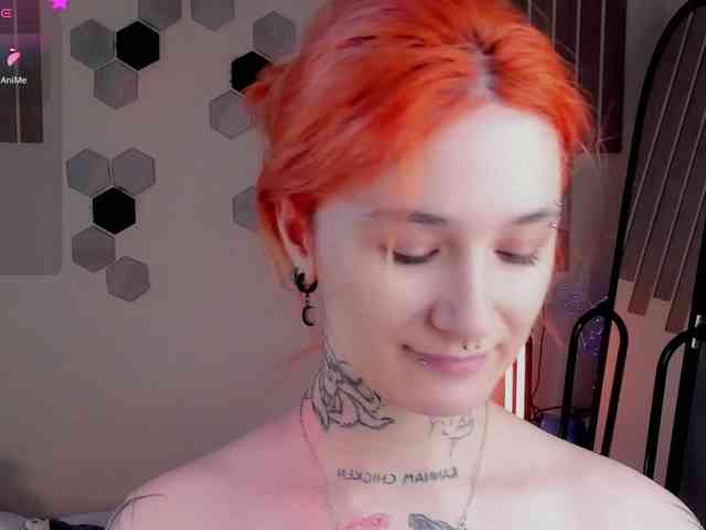 Dreamy-Snake webcam