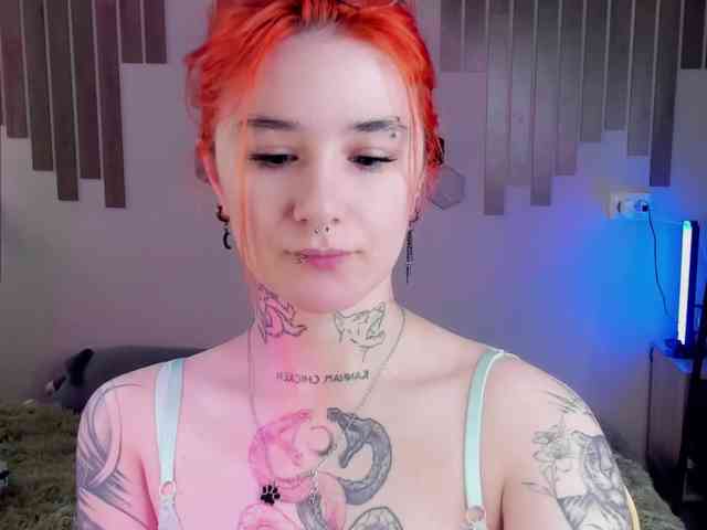 Dreamy-Snake webcam