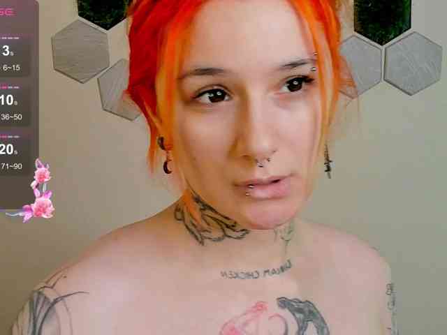 Dreamy-Snake webcam