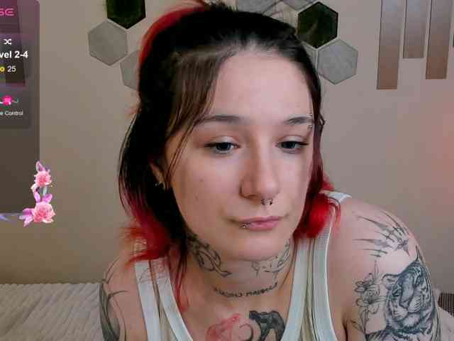Dreamy-Snake webcam