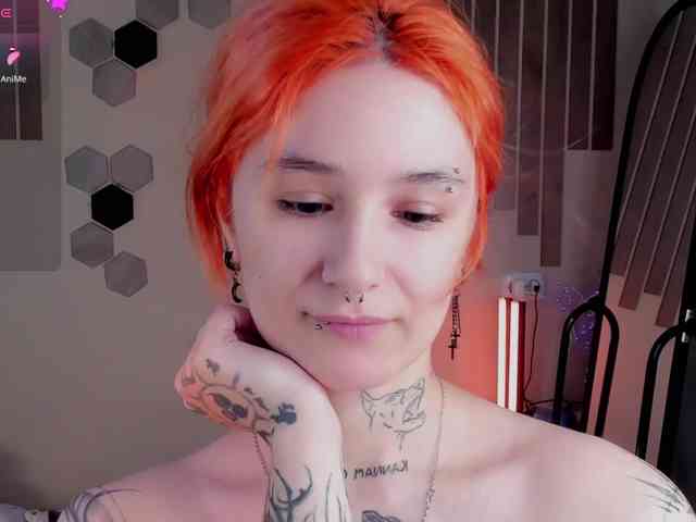 Dreamy-Snake webcam