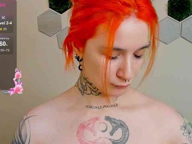 Dreamy-Snake webcam
