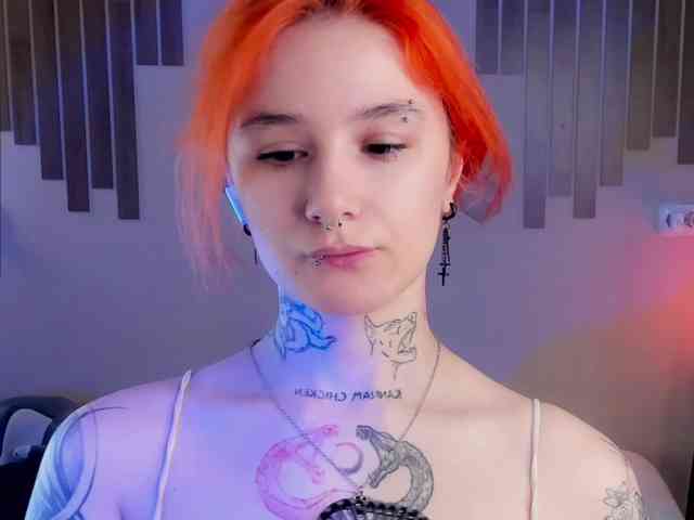 Dreamy-Snake webcam