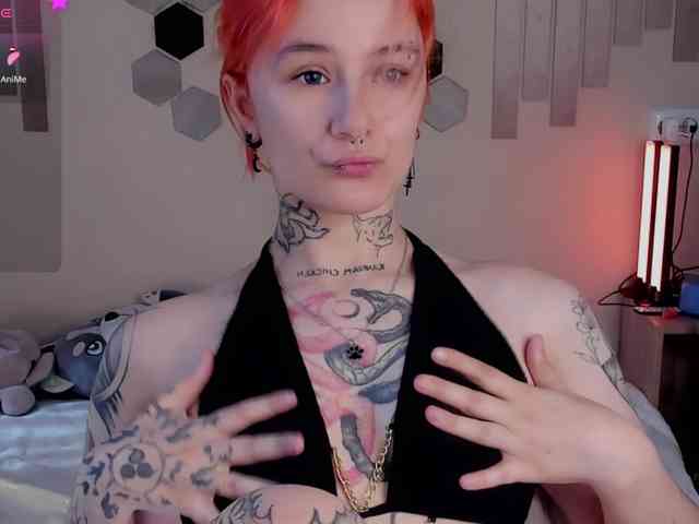 Dreamy-Snake webcam