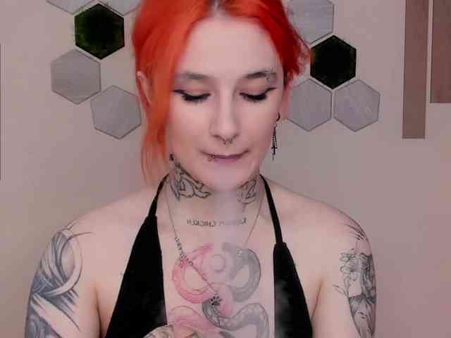 Dreamy-Snake webcam