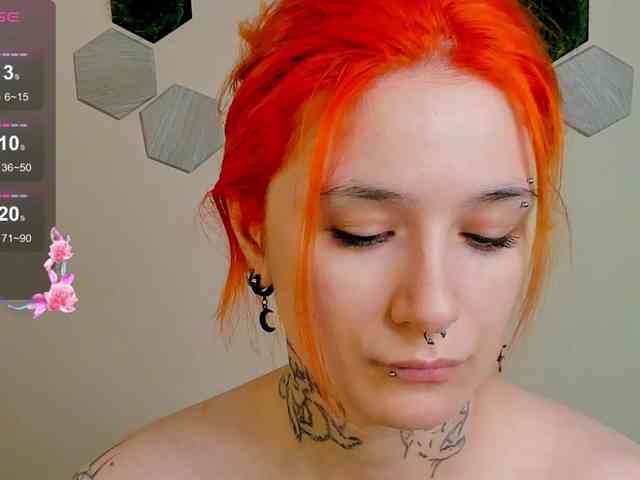 Dreamy-Snake webcam
