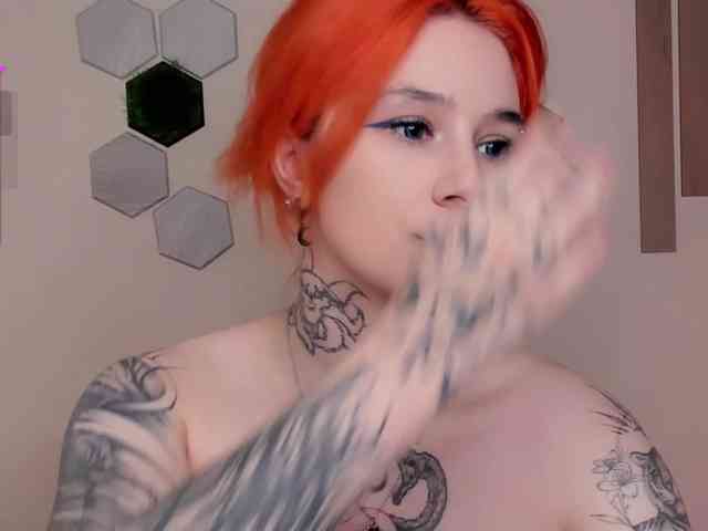 Dreamy-Snake webcam