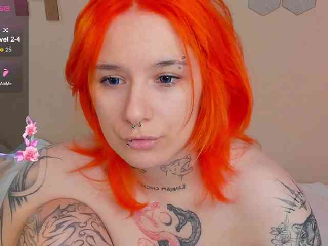 Dreamy-Snake webcam