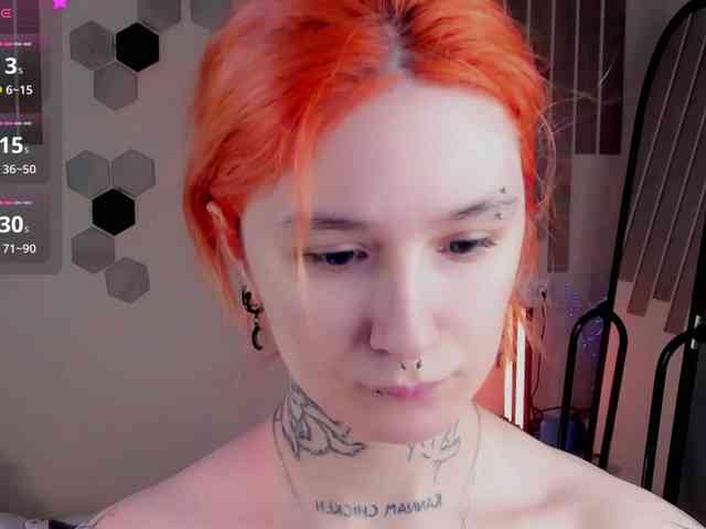 Dreamy-Snake webcam