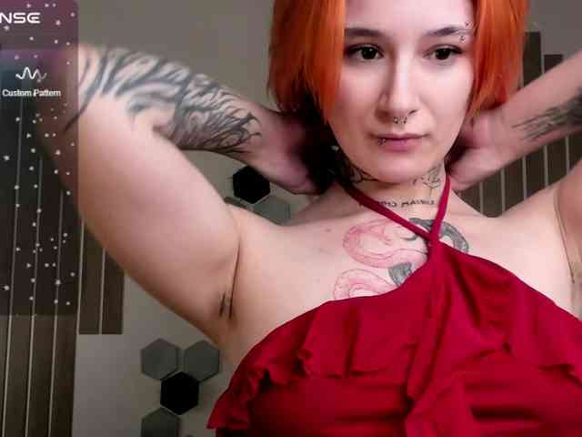 Dreamy-Snake webcam