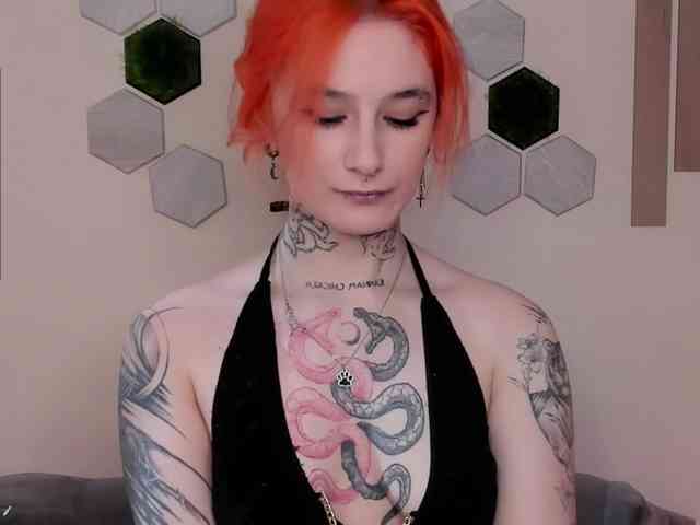 Dreamy-Snake webcam