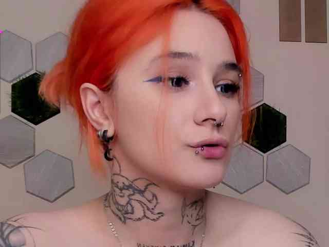 Dreamy-Snake webcam