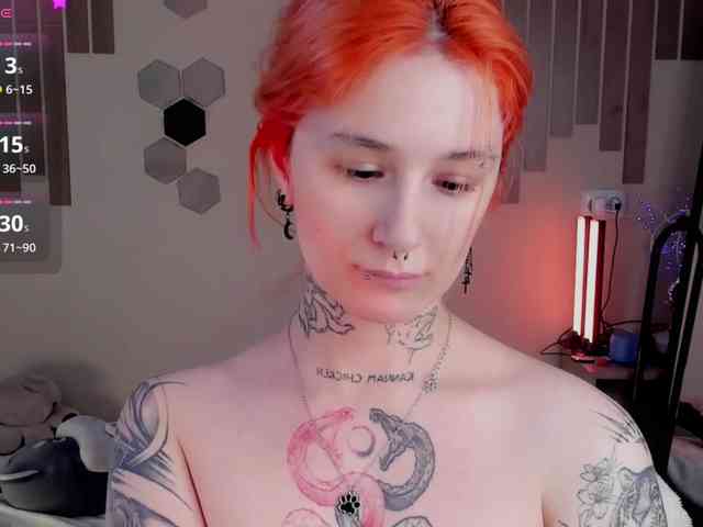 Dreamy-Snake webcam