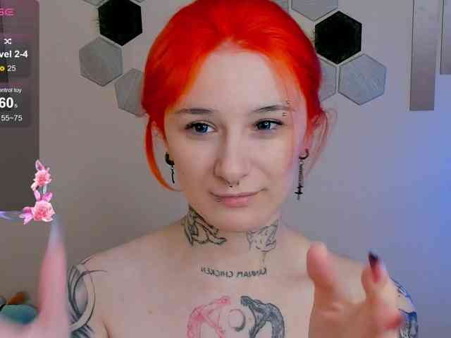 Dreamy-Snake webcam