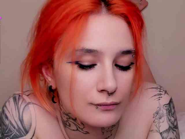 Dreamy-Snake webcam