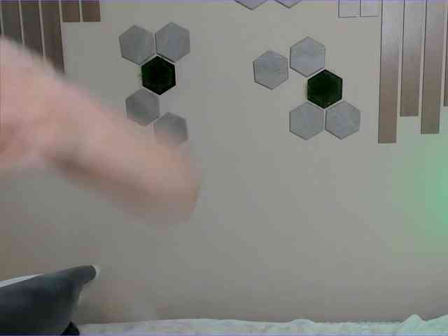 Dreamy-Snake webcam