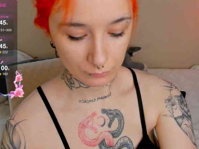 Dreamy-Snake webcam