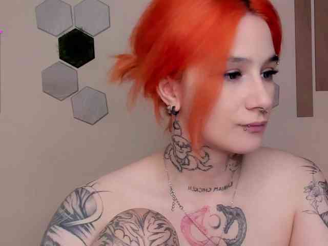 Dreamy-Snake webcam