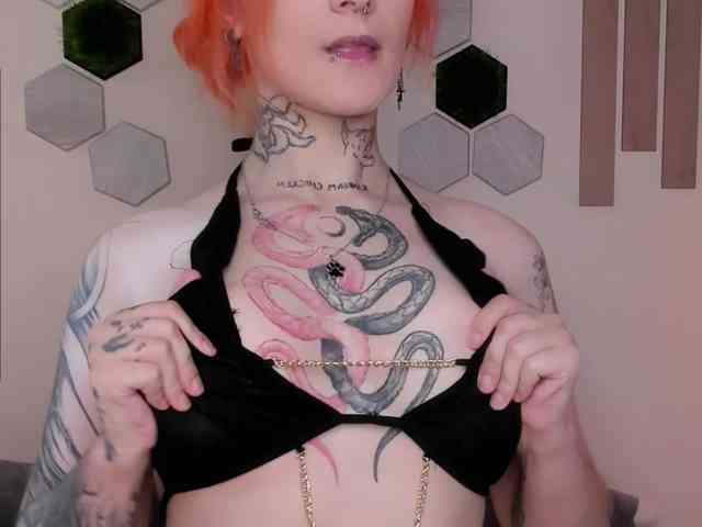 Dreamy-Snake webcam