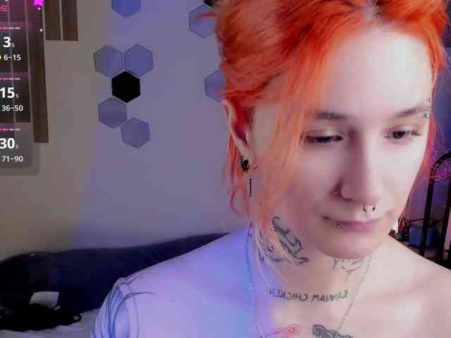 Dreamy-Snake webcam