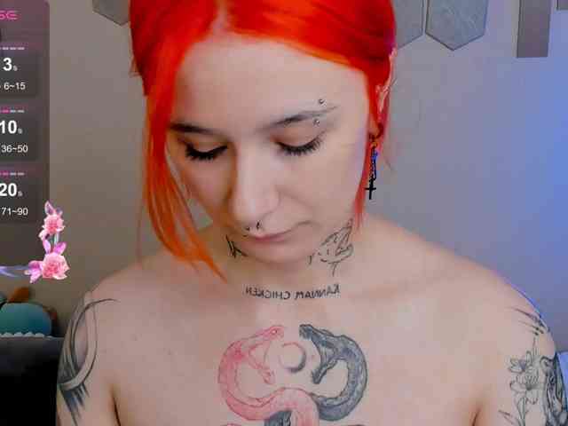 Dreamy-Snake webcam