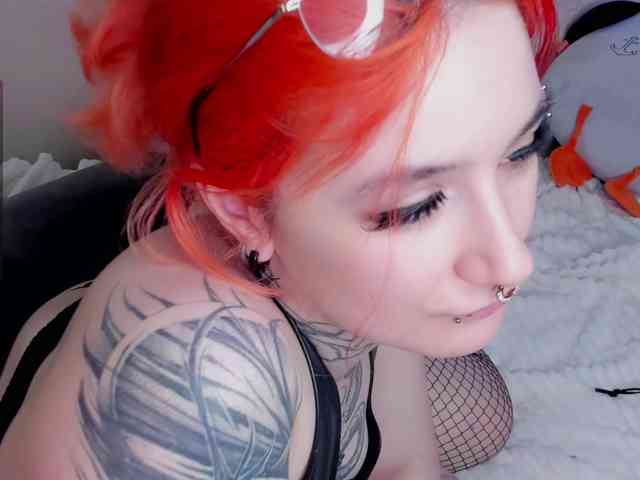 Dreamy-Snake webcam