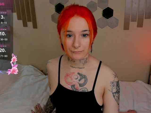 Dreamy-Snake webcam