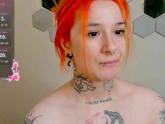 Dreamy-Snake webcam