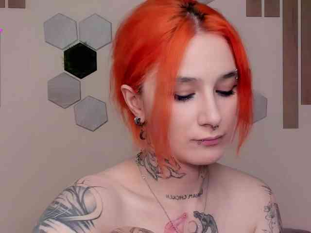 Dreamy-Snake webcam