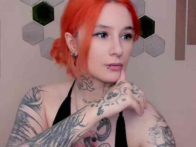 Dreamy-Snake webcam