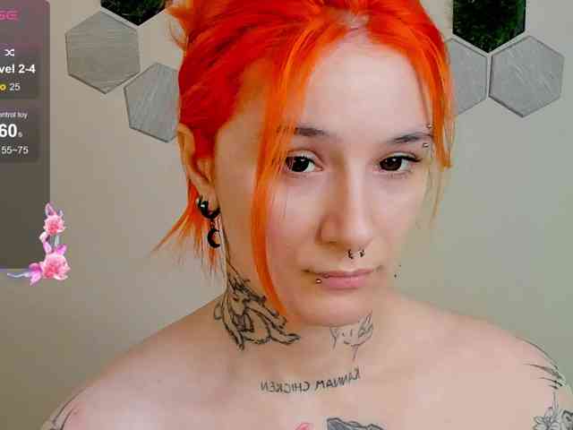 Dreamy-Snake webcam