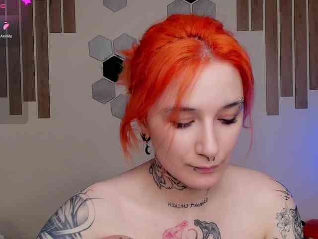 Dreamy-Snake webcam