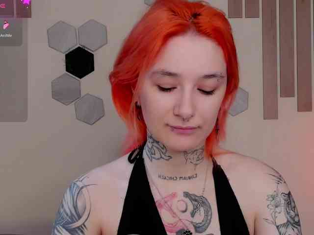 Dreamy-Snake webcam