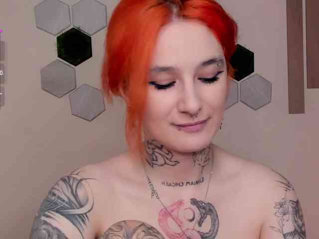 Dreamy-Snake webcam