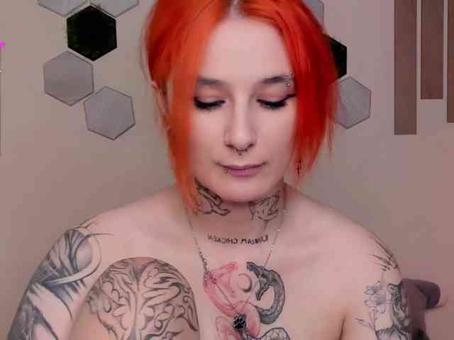Dreamy-Snake webcam