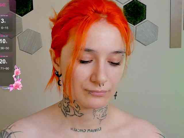 Dreamy-Snake webcam