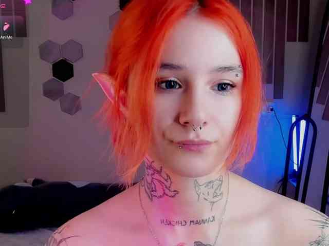 Dreamy-Snake webcam