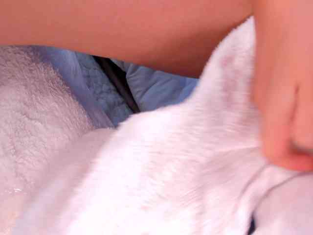 aniiieee webcam
