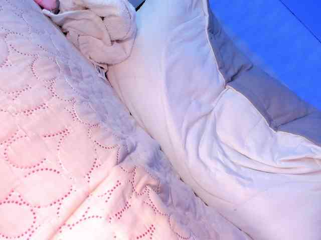 aniiieee webcam