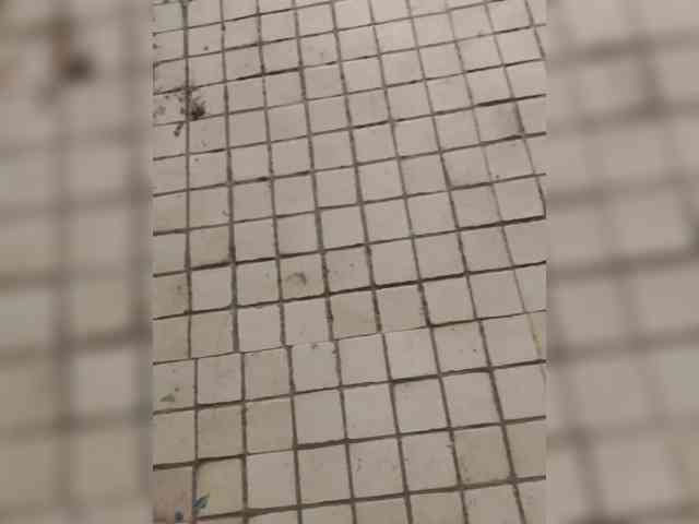 Vitas401 Live Webcam on BongaCams